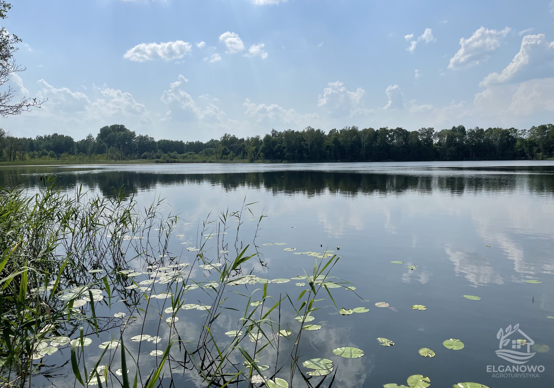 Jezioro Jegły Elganowo